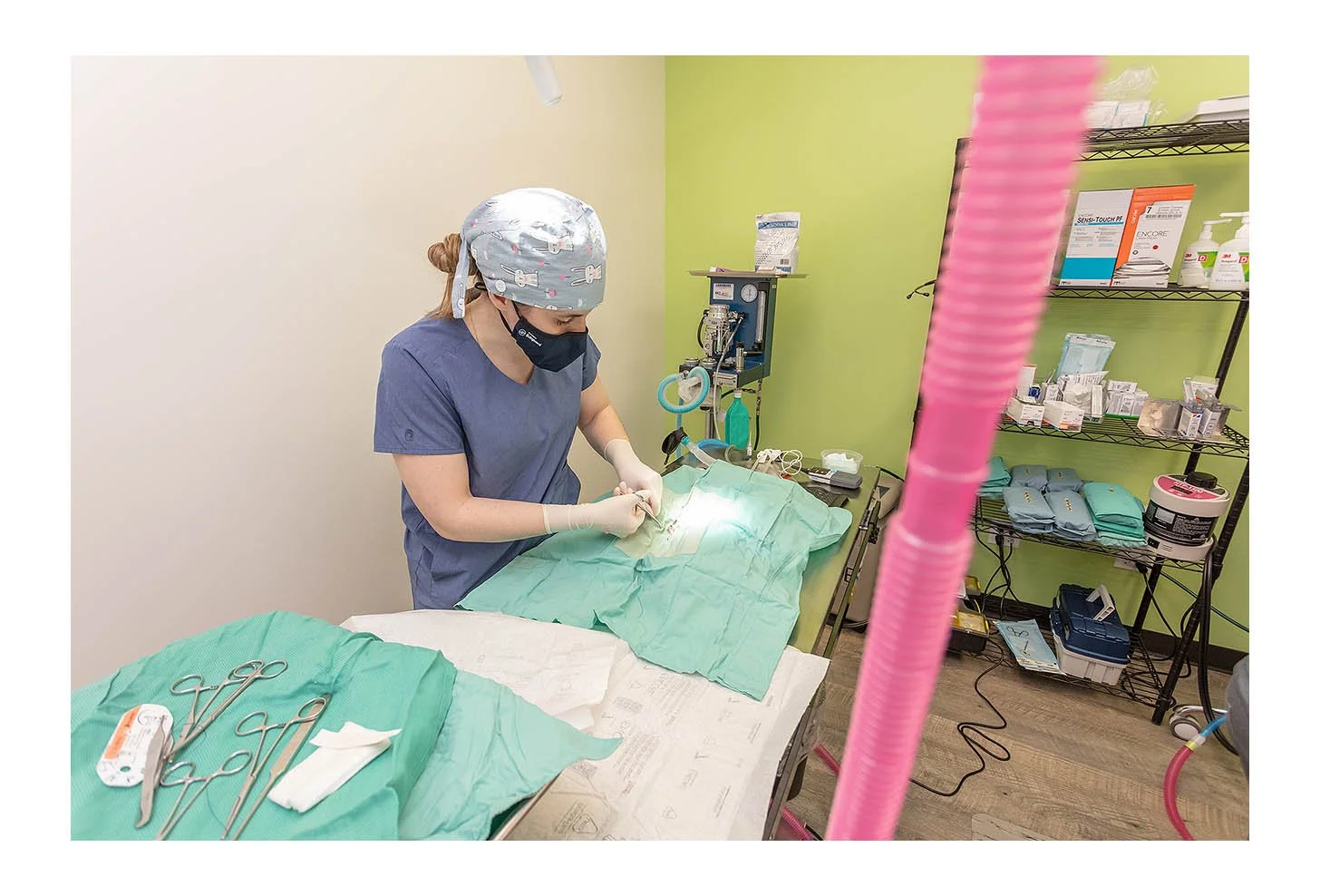 Veterinary Wellness Center