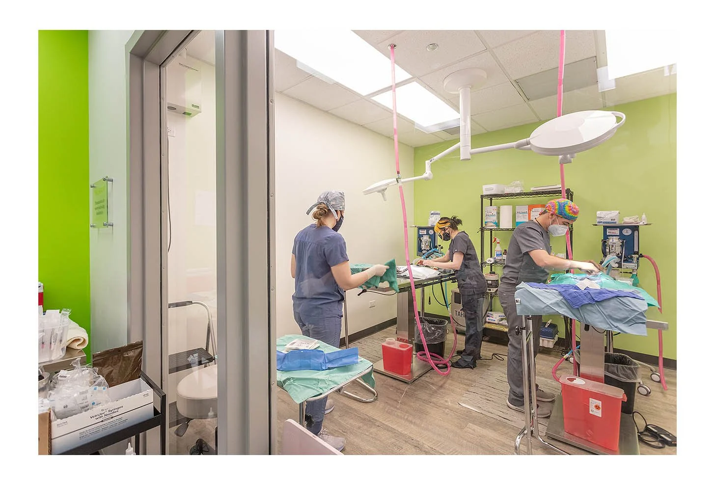 Veterinary Wellness Center