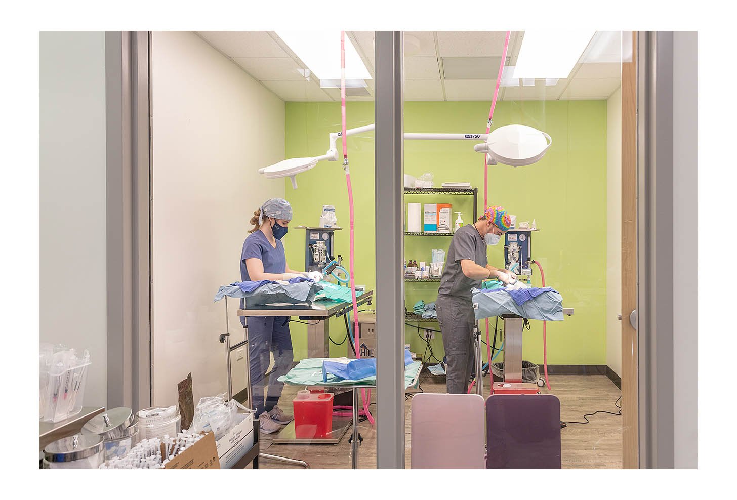 Veterinary Wellness Center