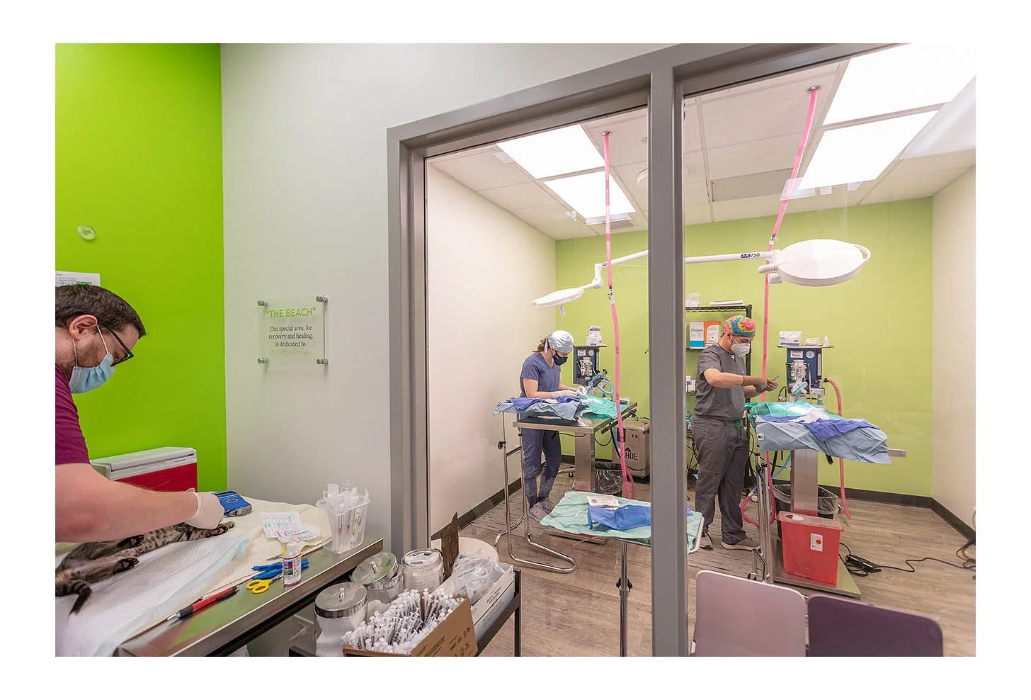 Veterinary Wellness Center
