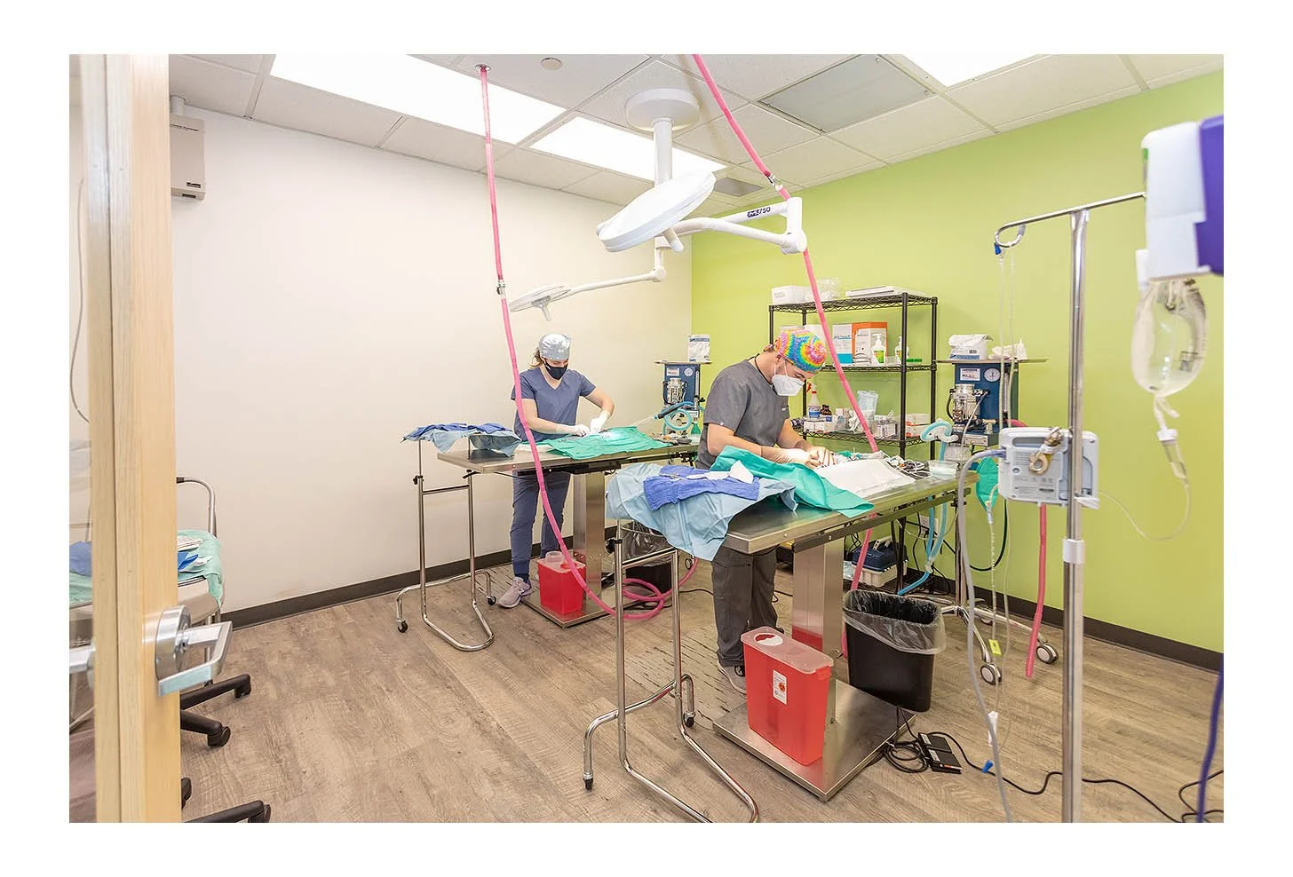 Veterinary Wellness Center