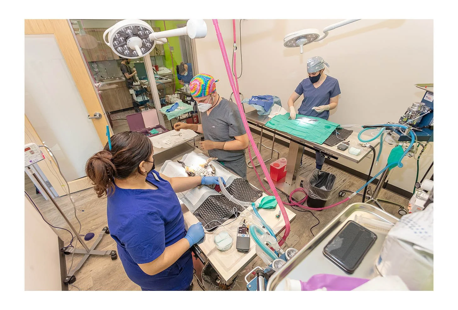 Veterinary Wellness Center