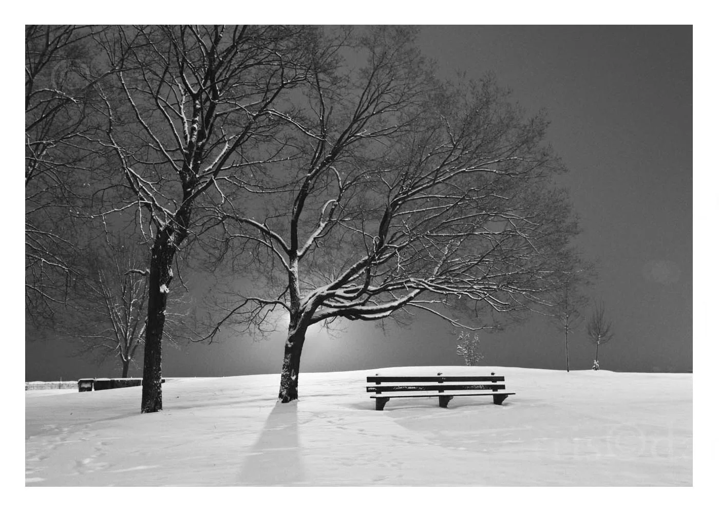Lincoln Park