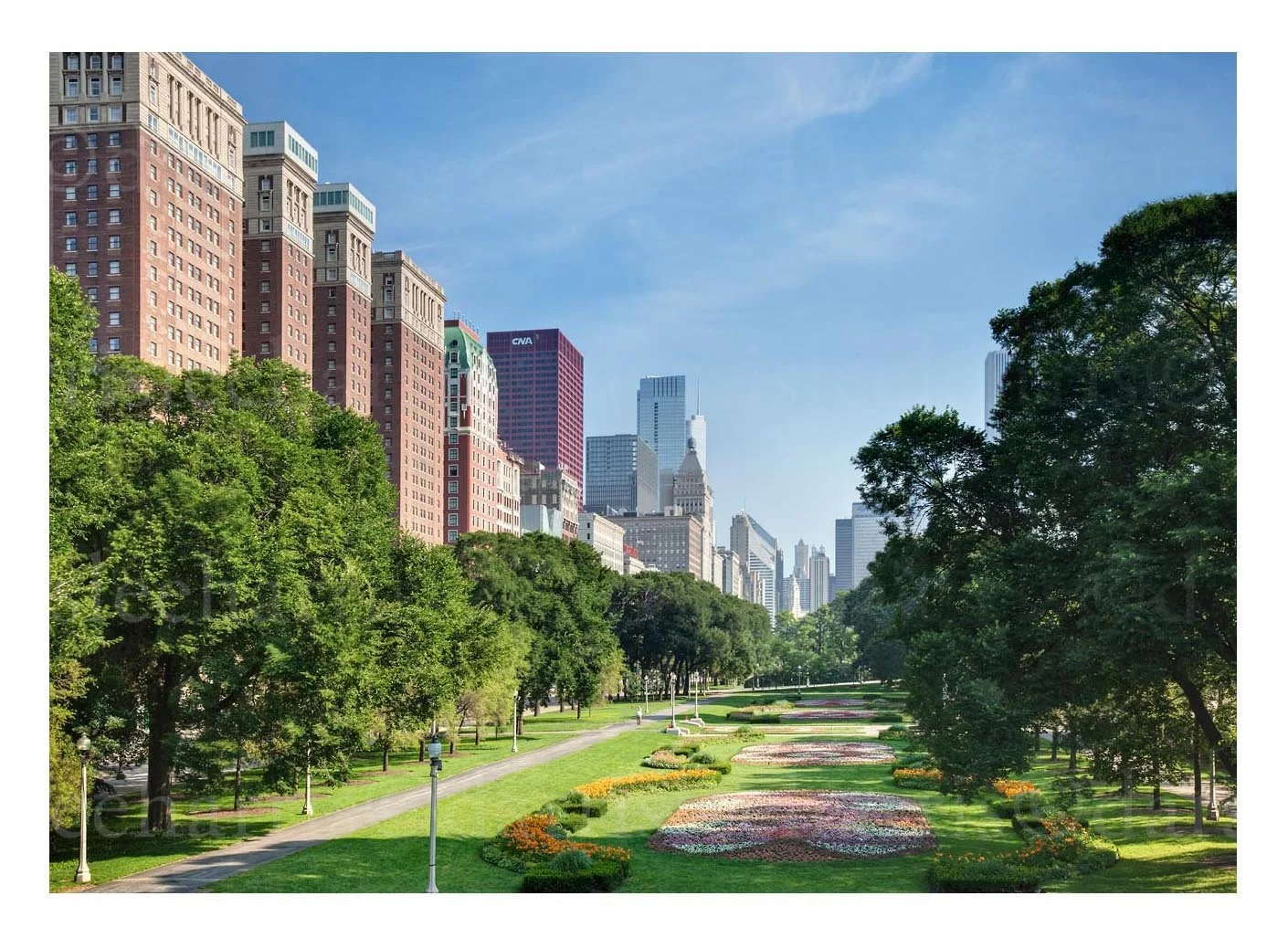 Grant Park Skyline
