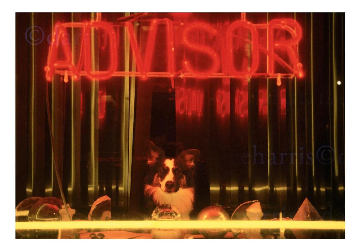 Advisor