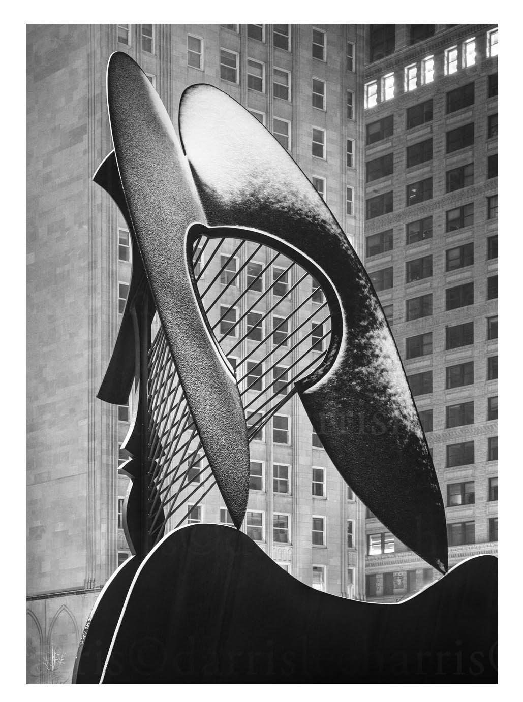 The Picasso