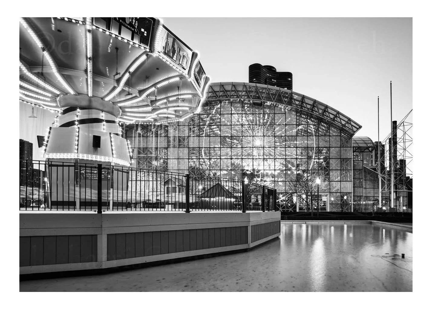Navy Pier Carousel