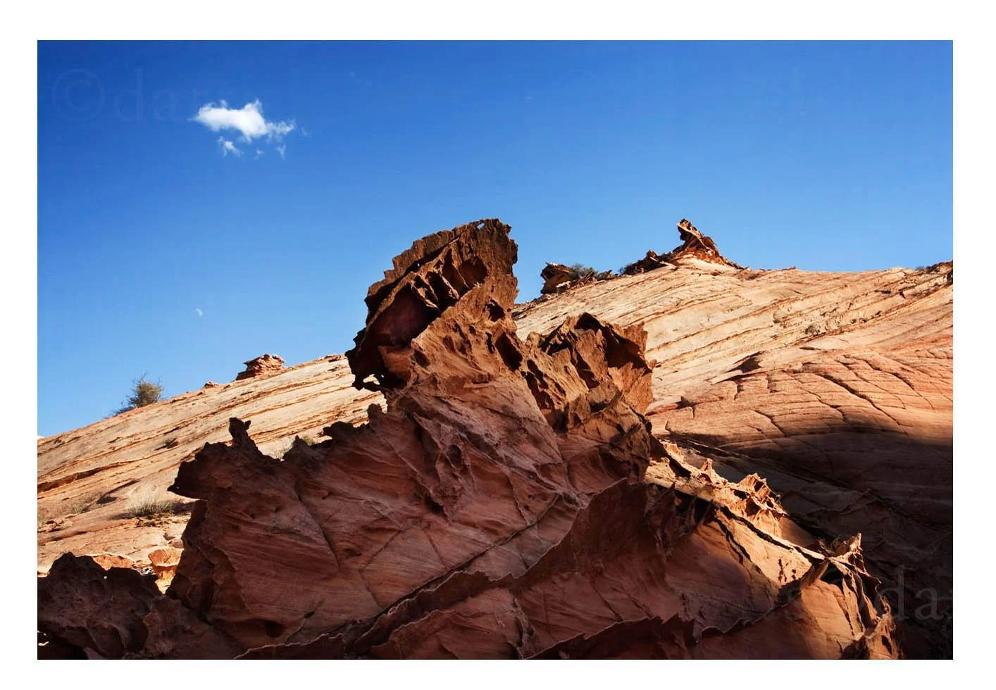 Flat Rocks