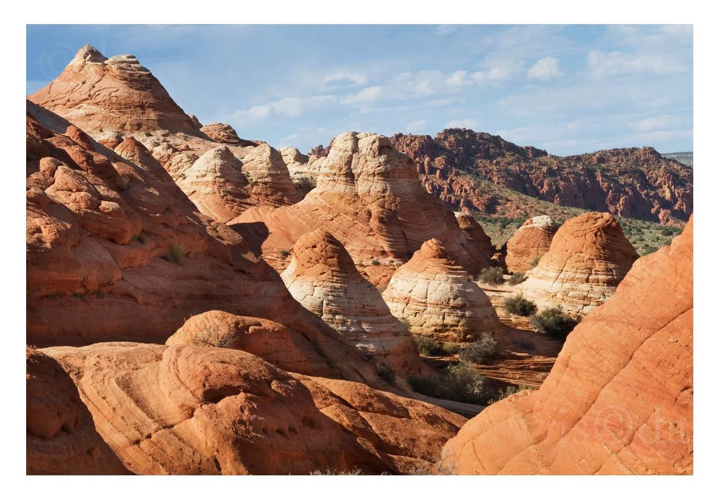 Rock Landscape