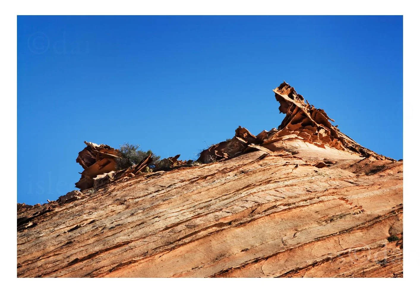 Rock Detail