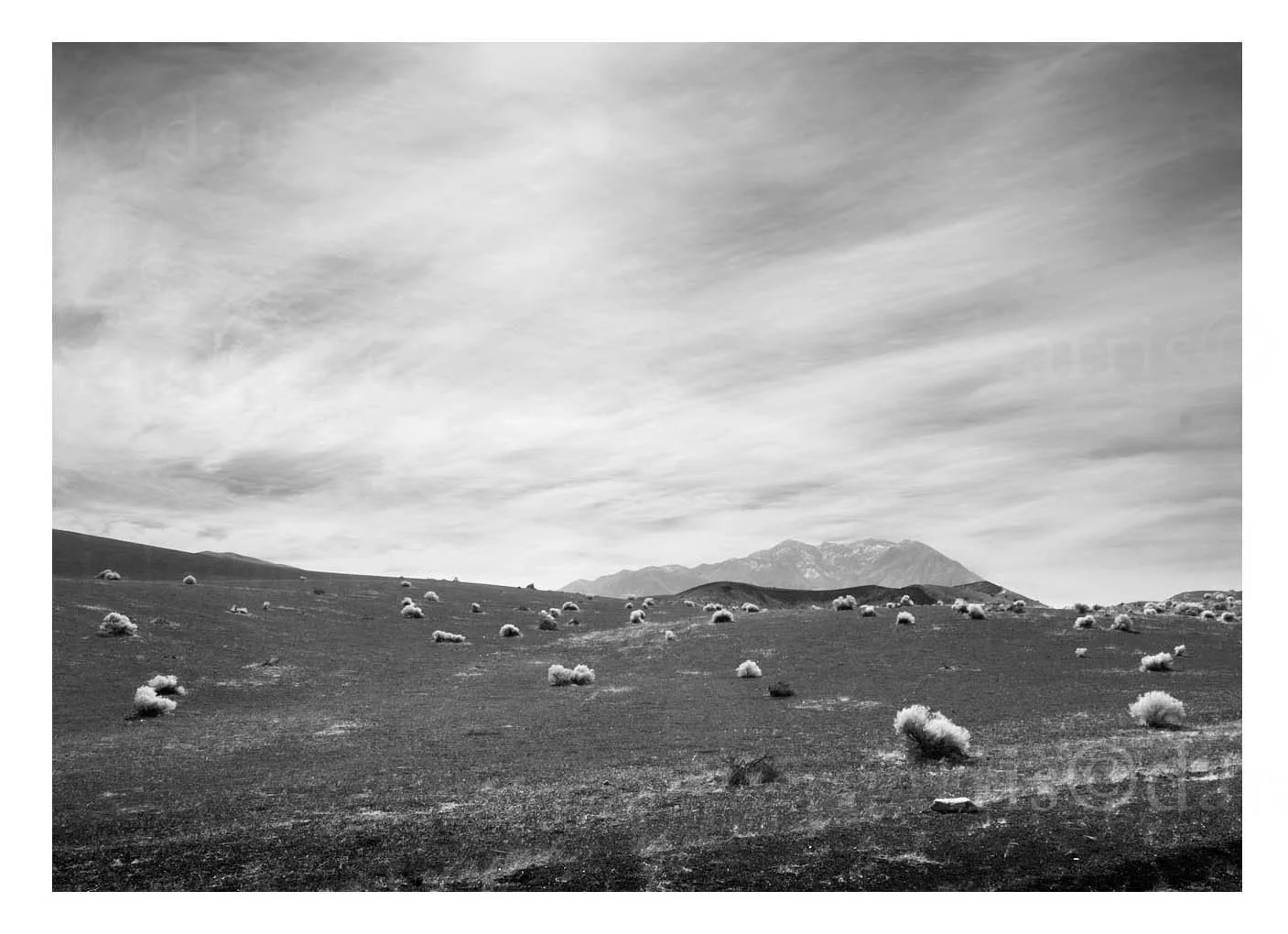 Desolate View