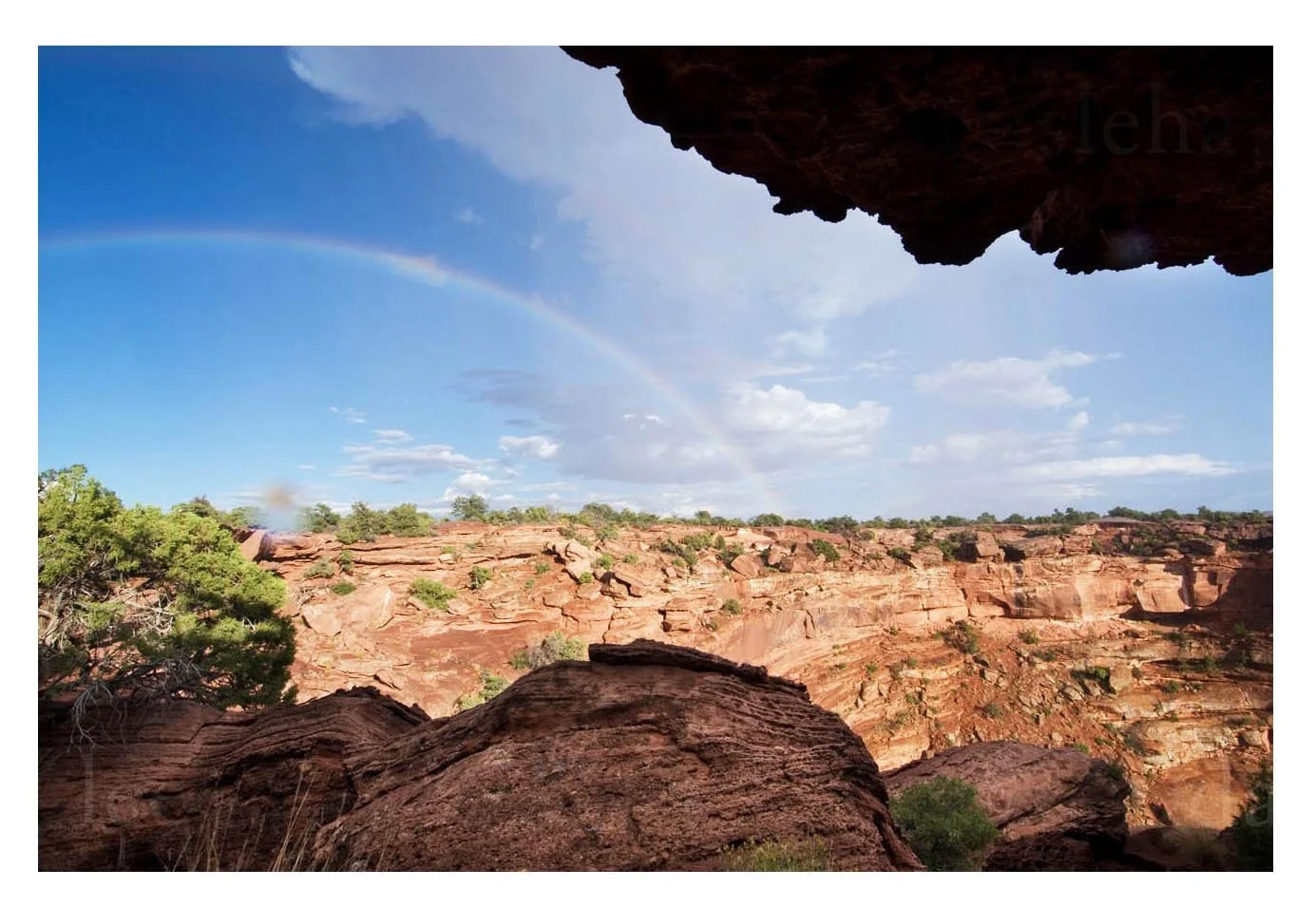 Rainbow View