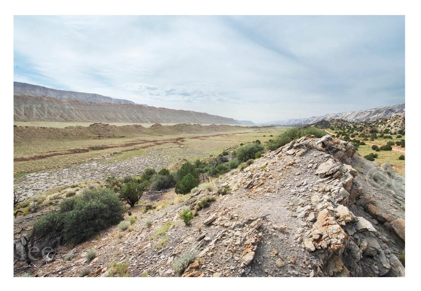 Canyon View
