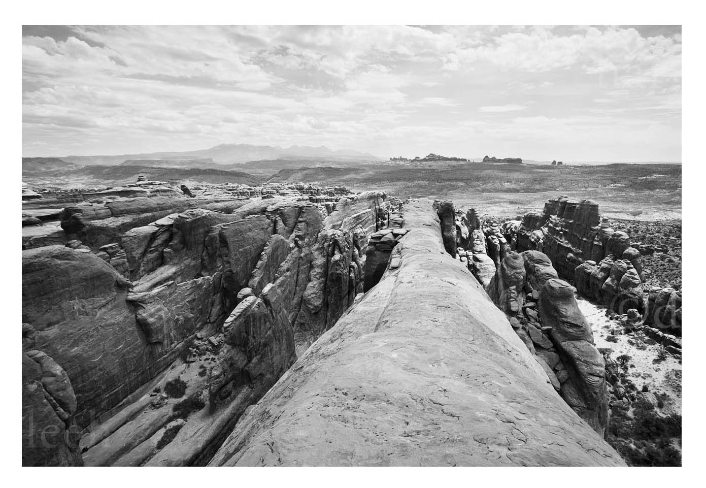 Firey Furnace Rock Fin