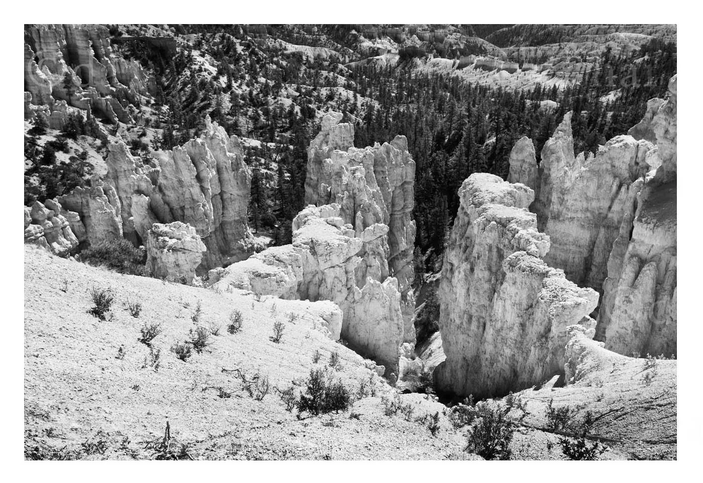 Rock Fins