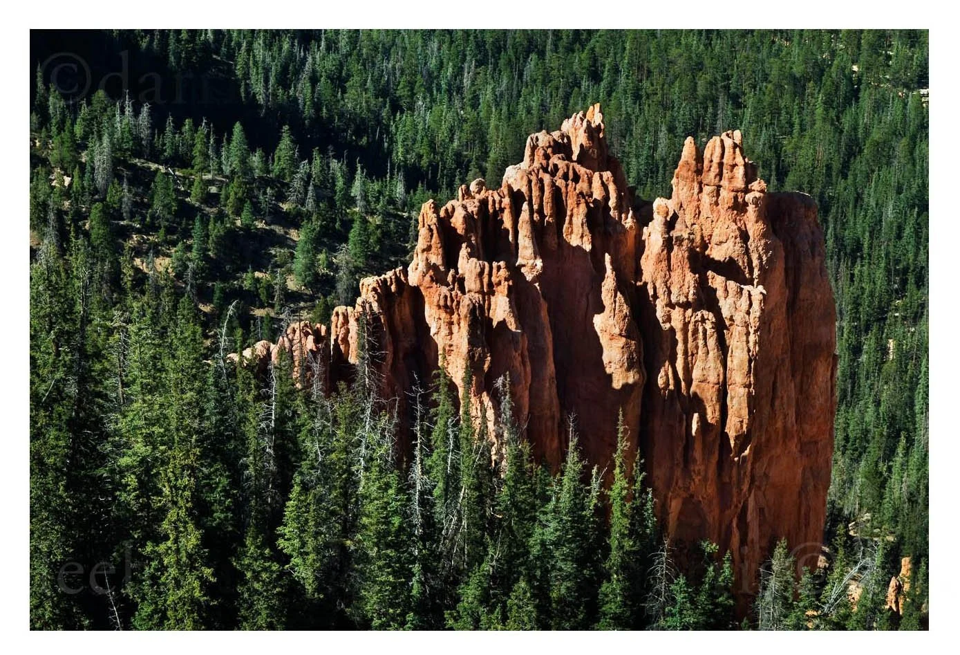 Rock Detail