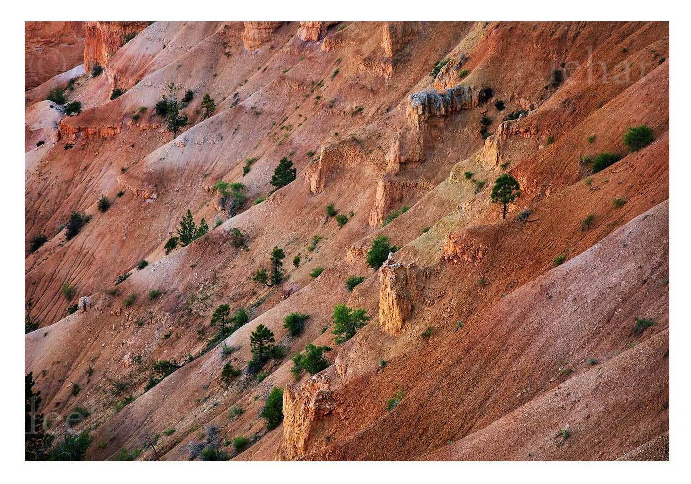 Canyon Detail