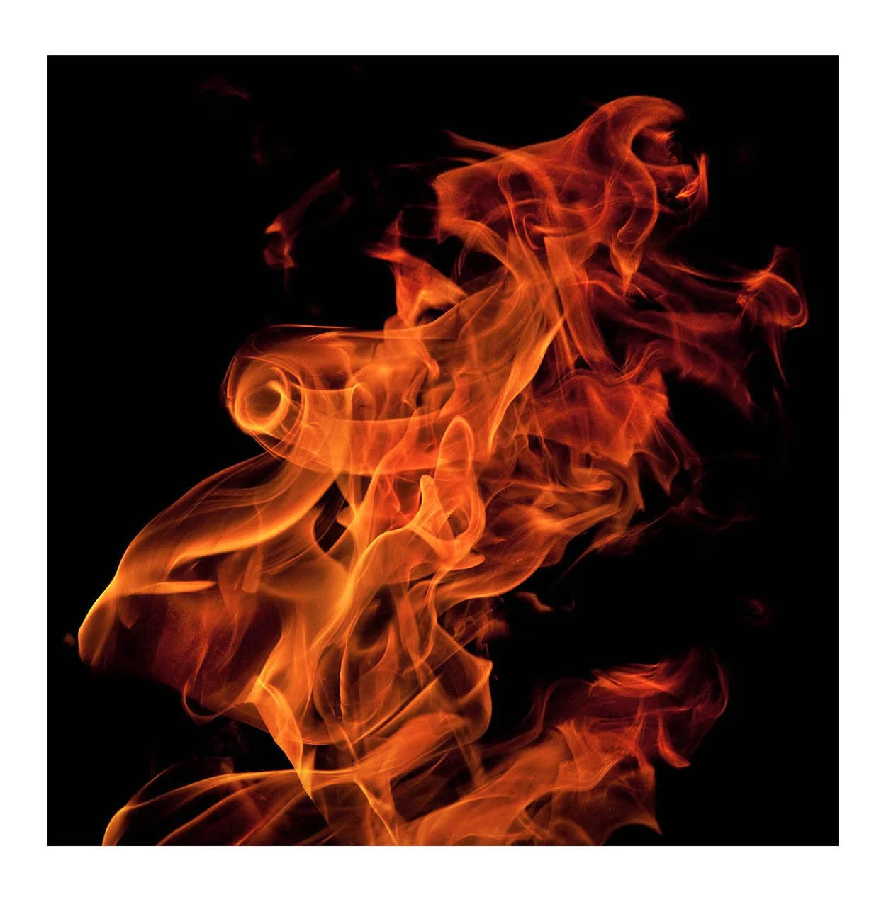 Fire #298