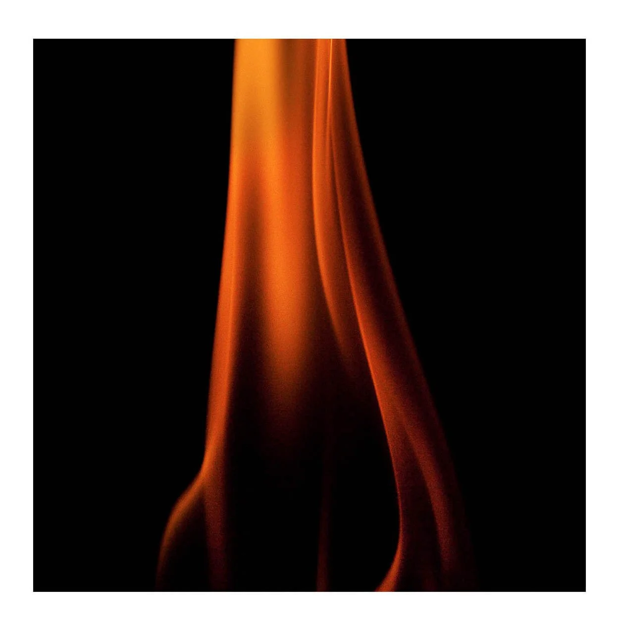 Fire #156