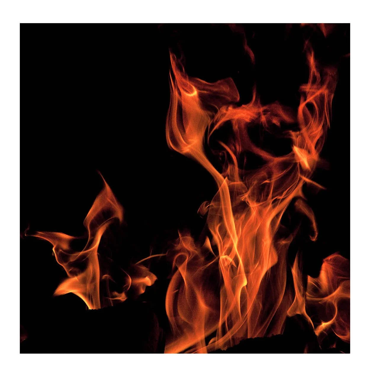 Fire #345