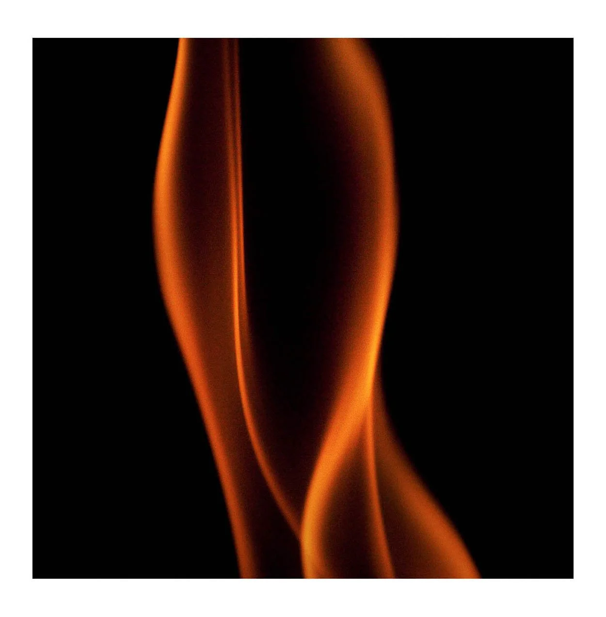 Fire #324