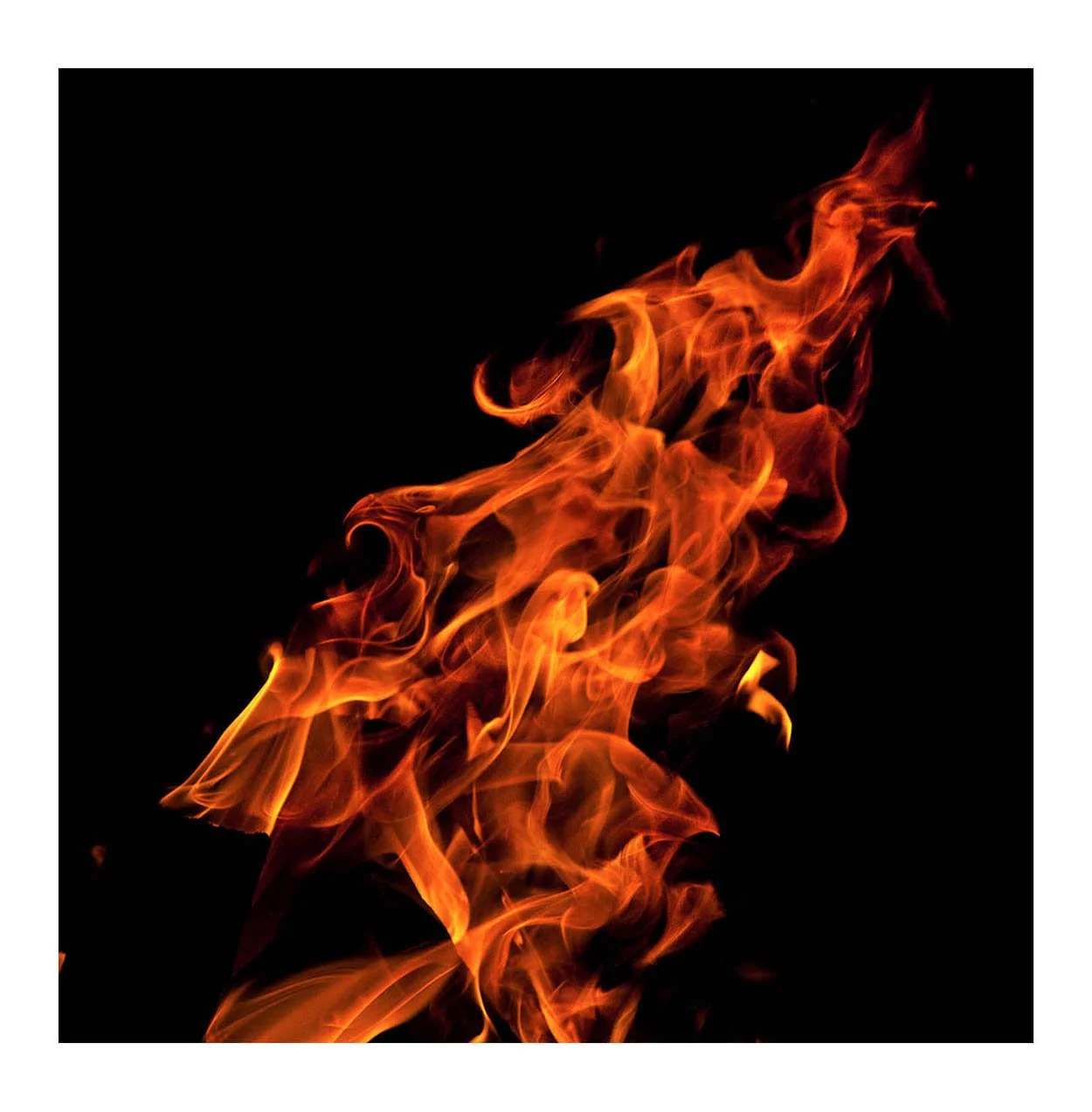Fire #299