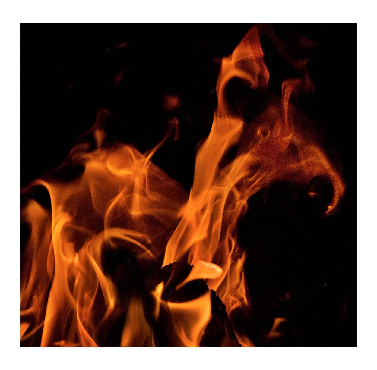 Fire #31