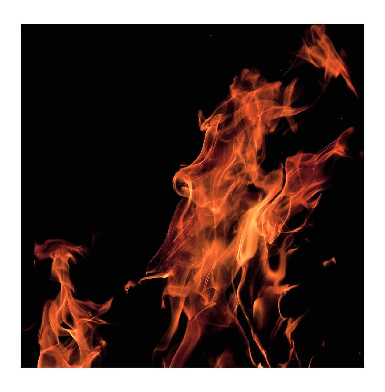Fire #308