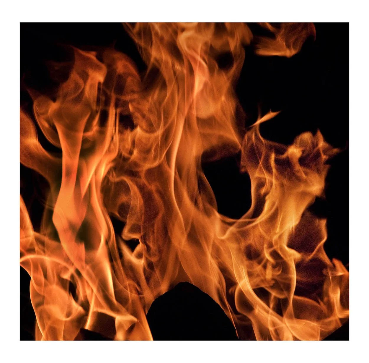 Fire #228