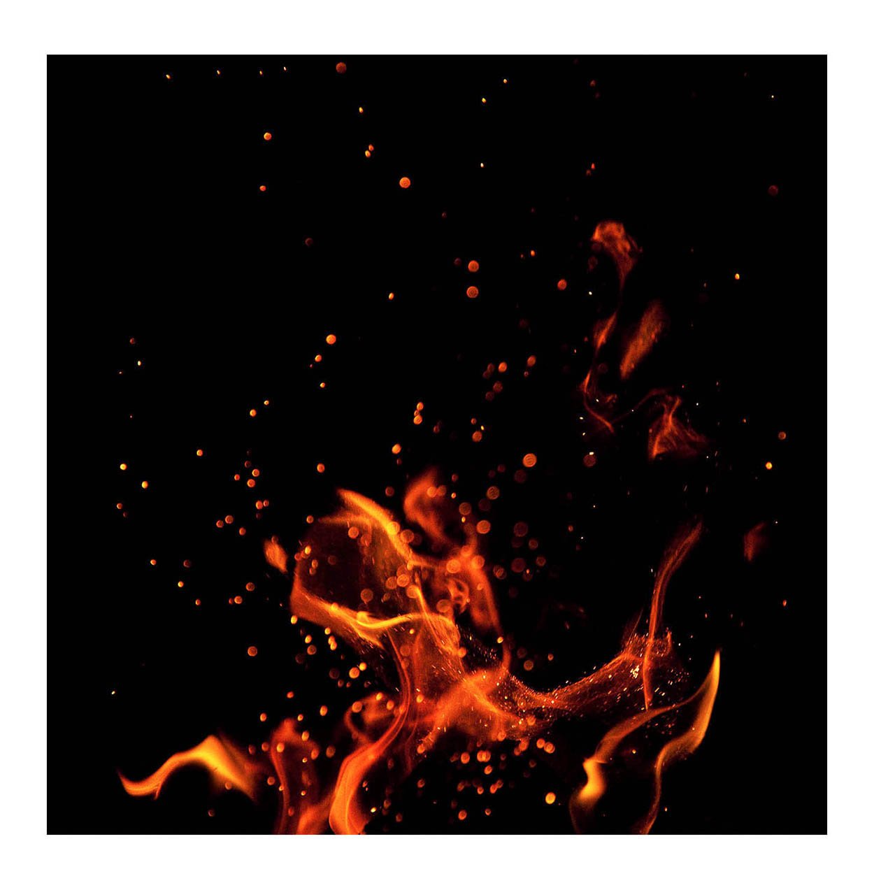 Fire #133