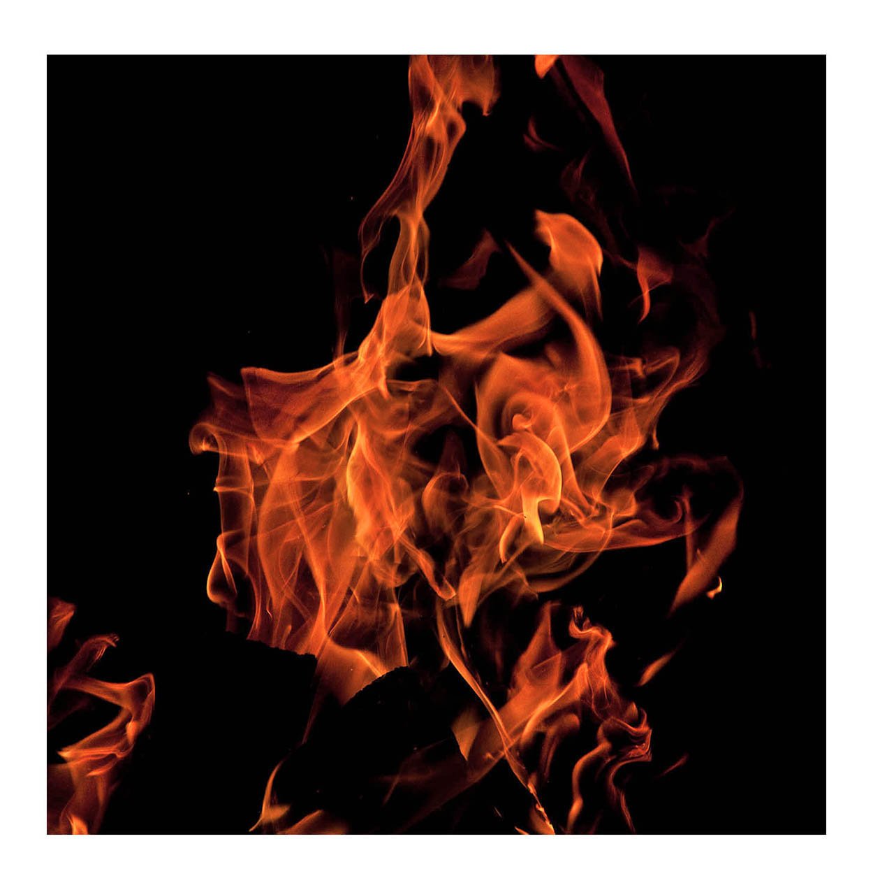 Fire #309