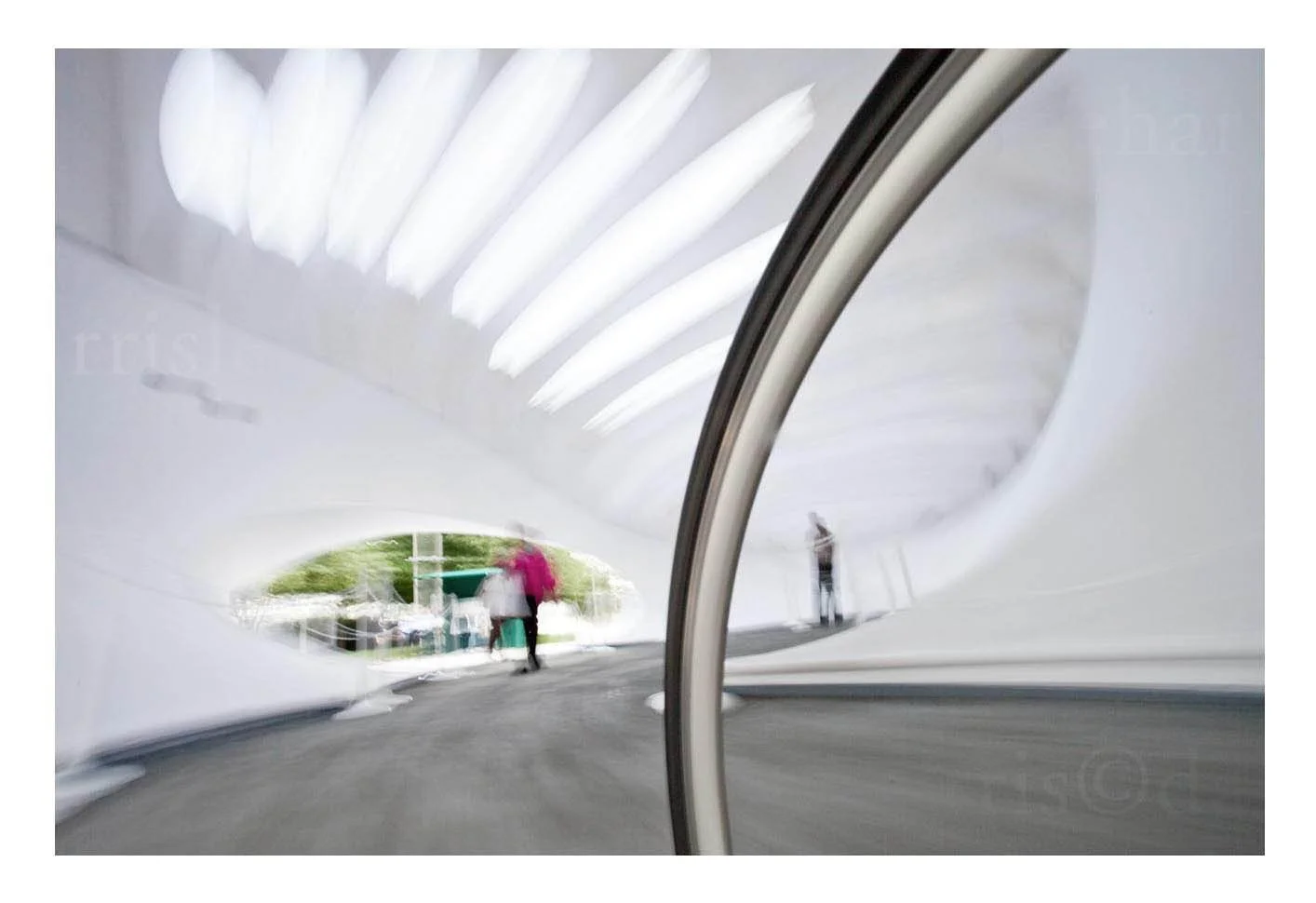 Forward Movement, Bicycles #14