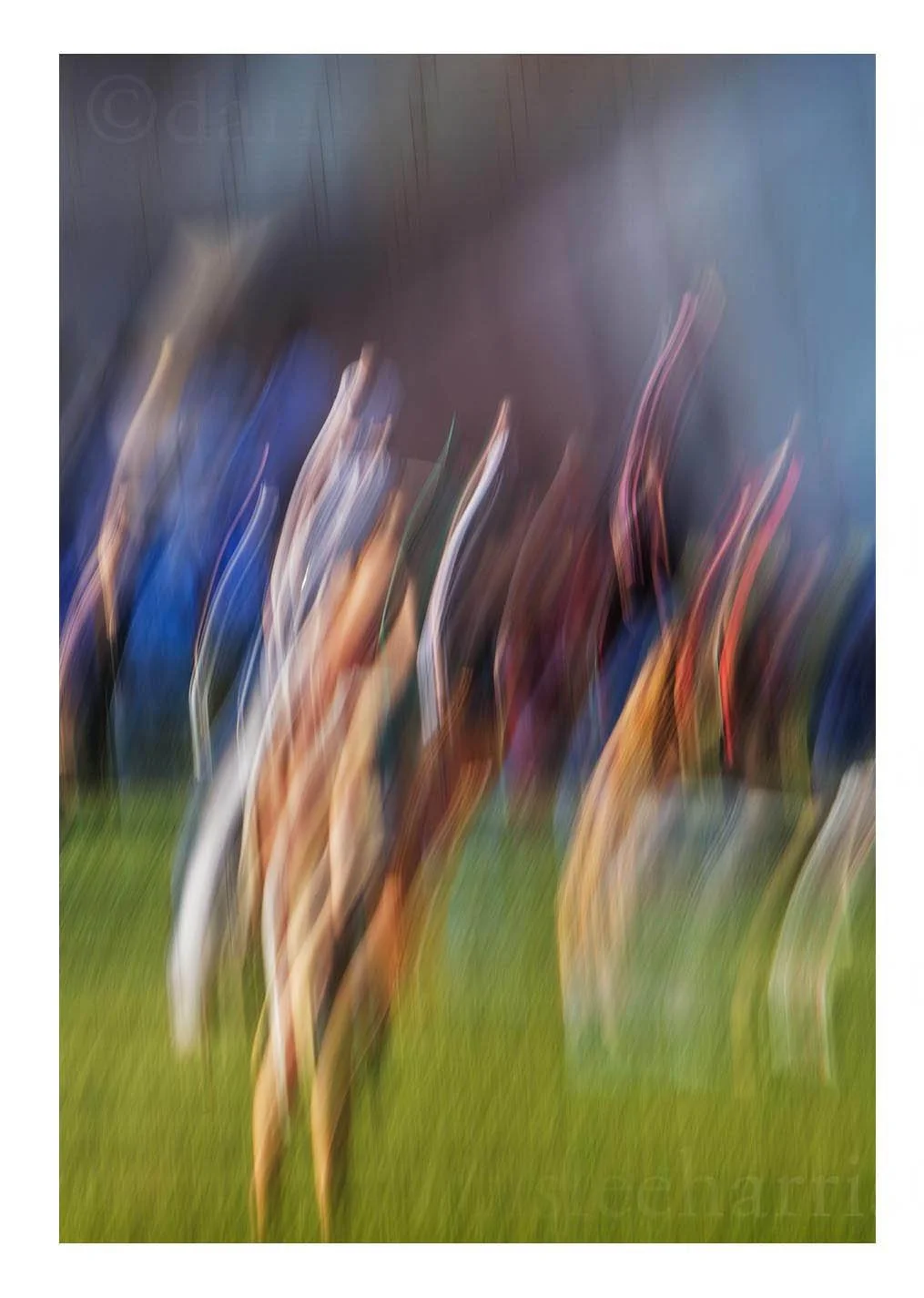 Forward Movement, Millenium Park #05