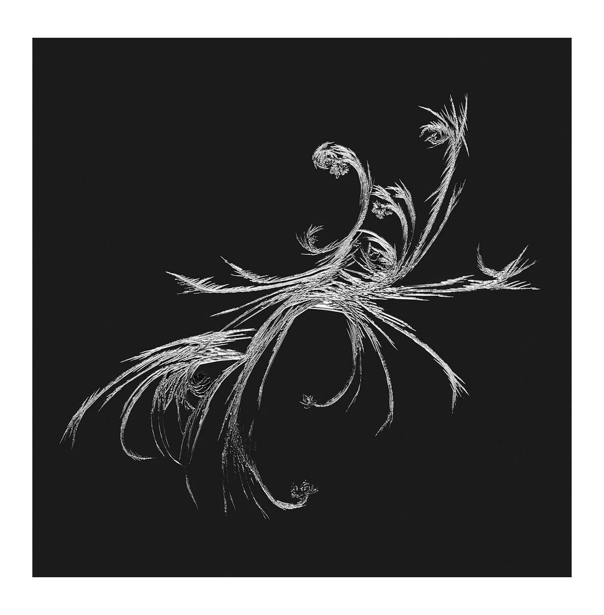 Snowflakes #02