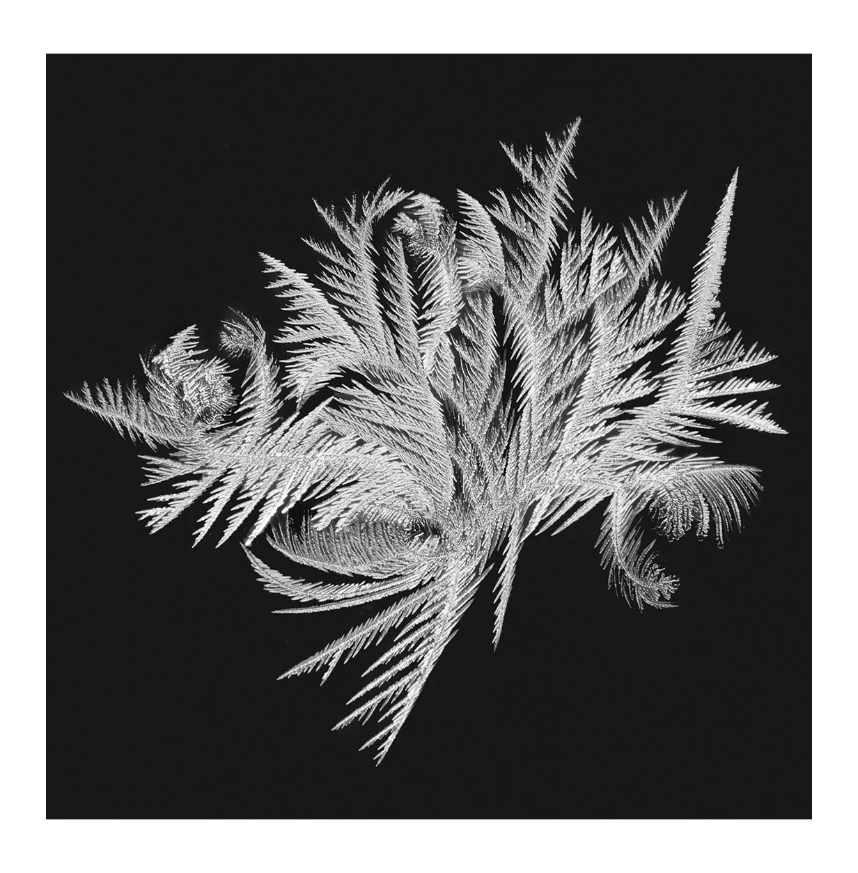 Snowflakes #06