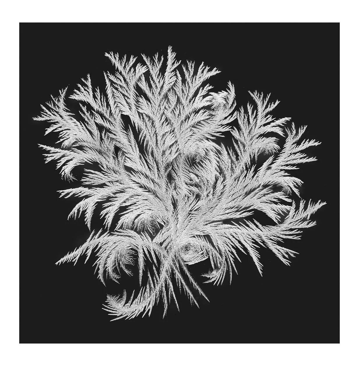 Snowflakes #07
