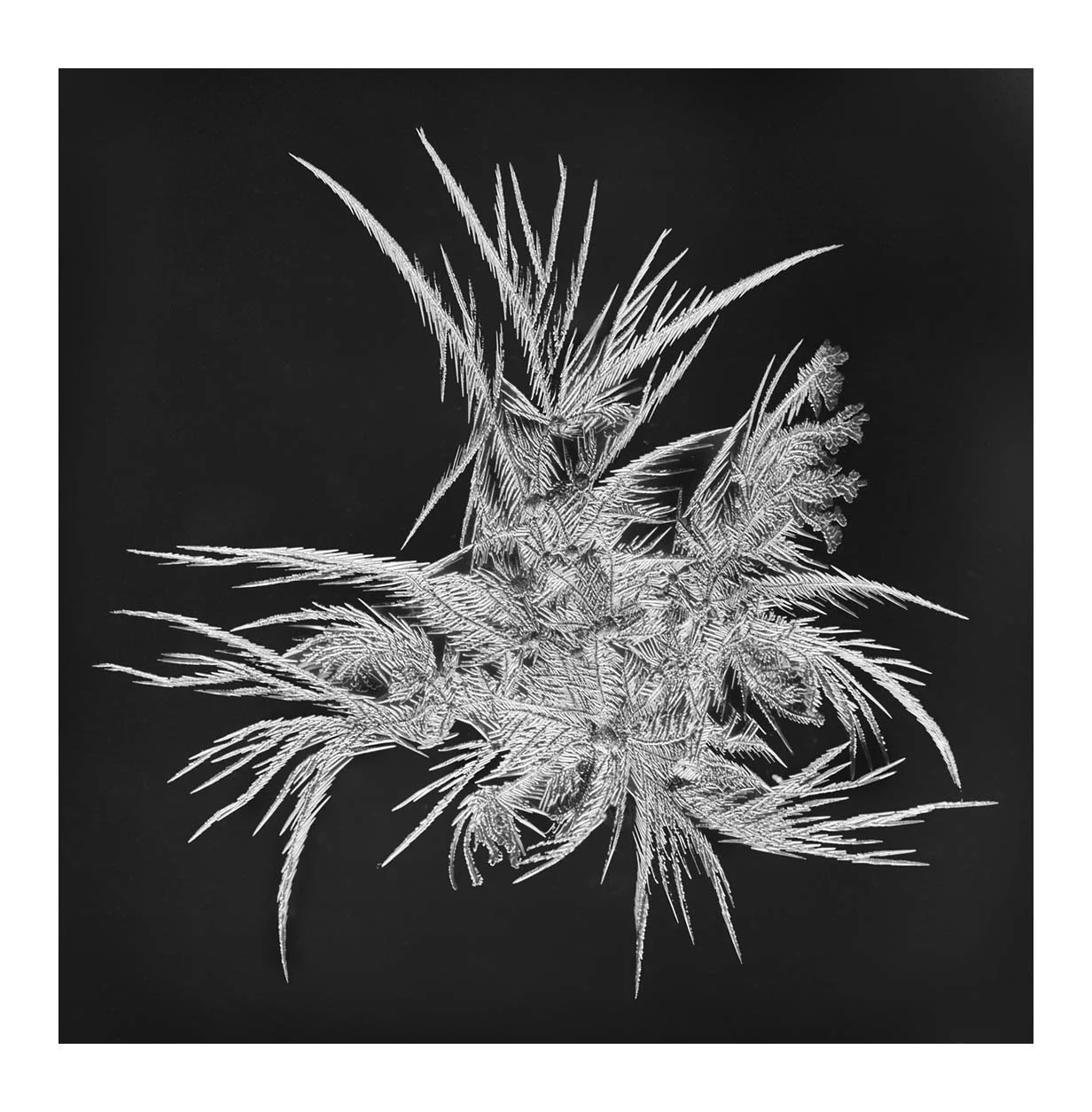 Snowflakes #08