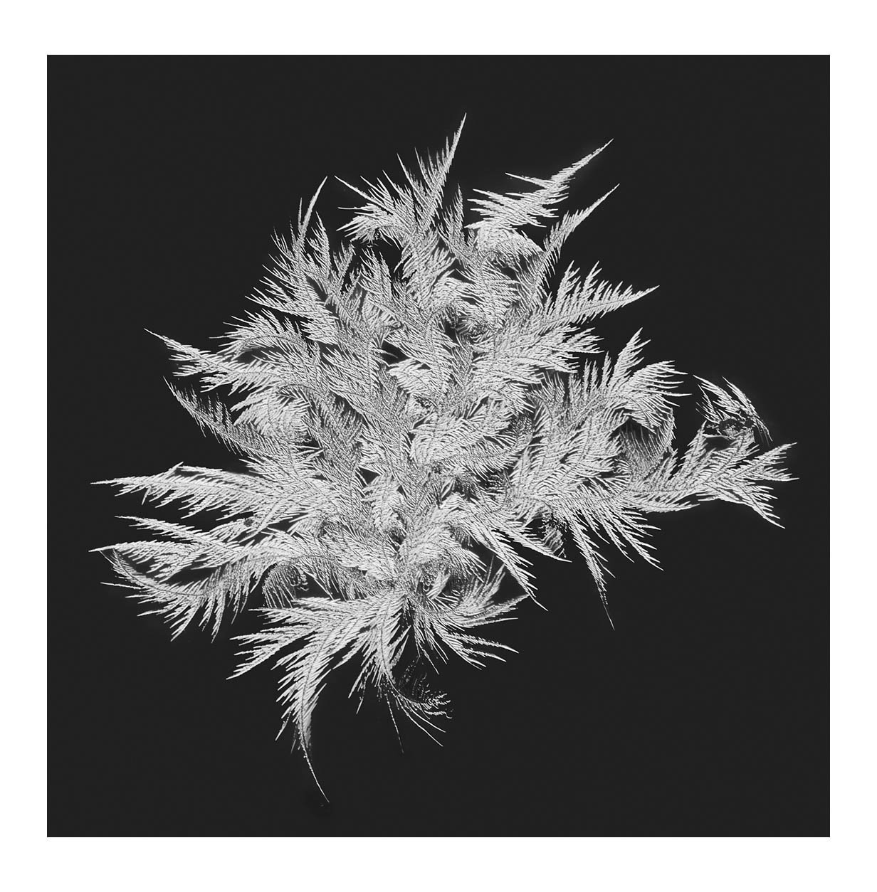 Snowflakes #09