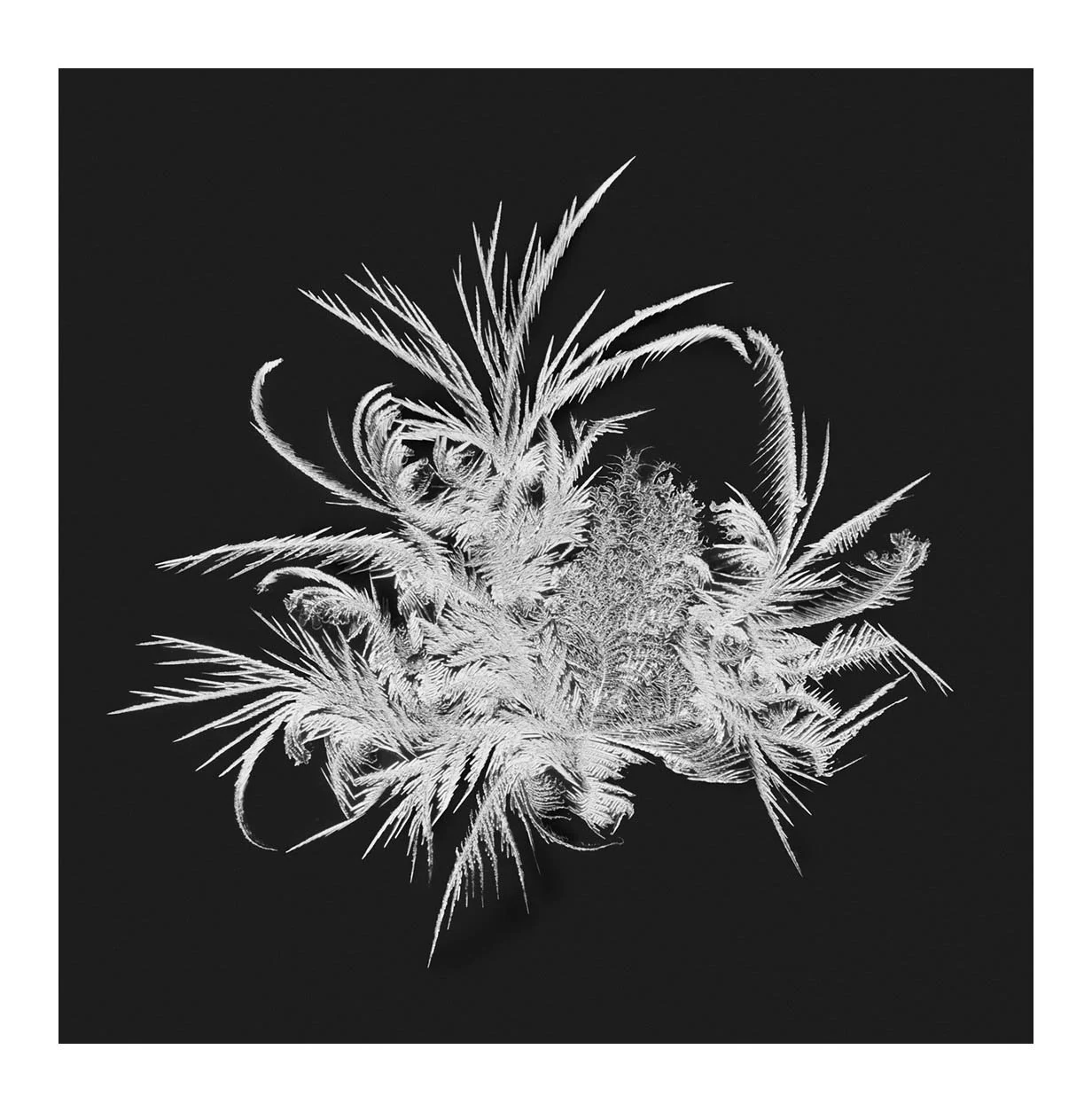 Snowflakes #12