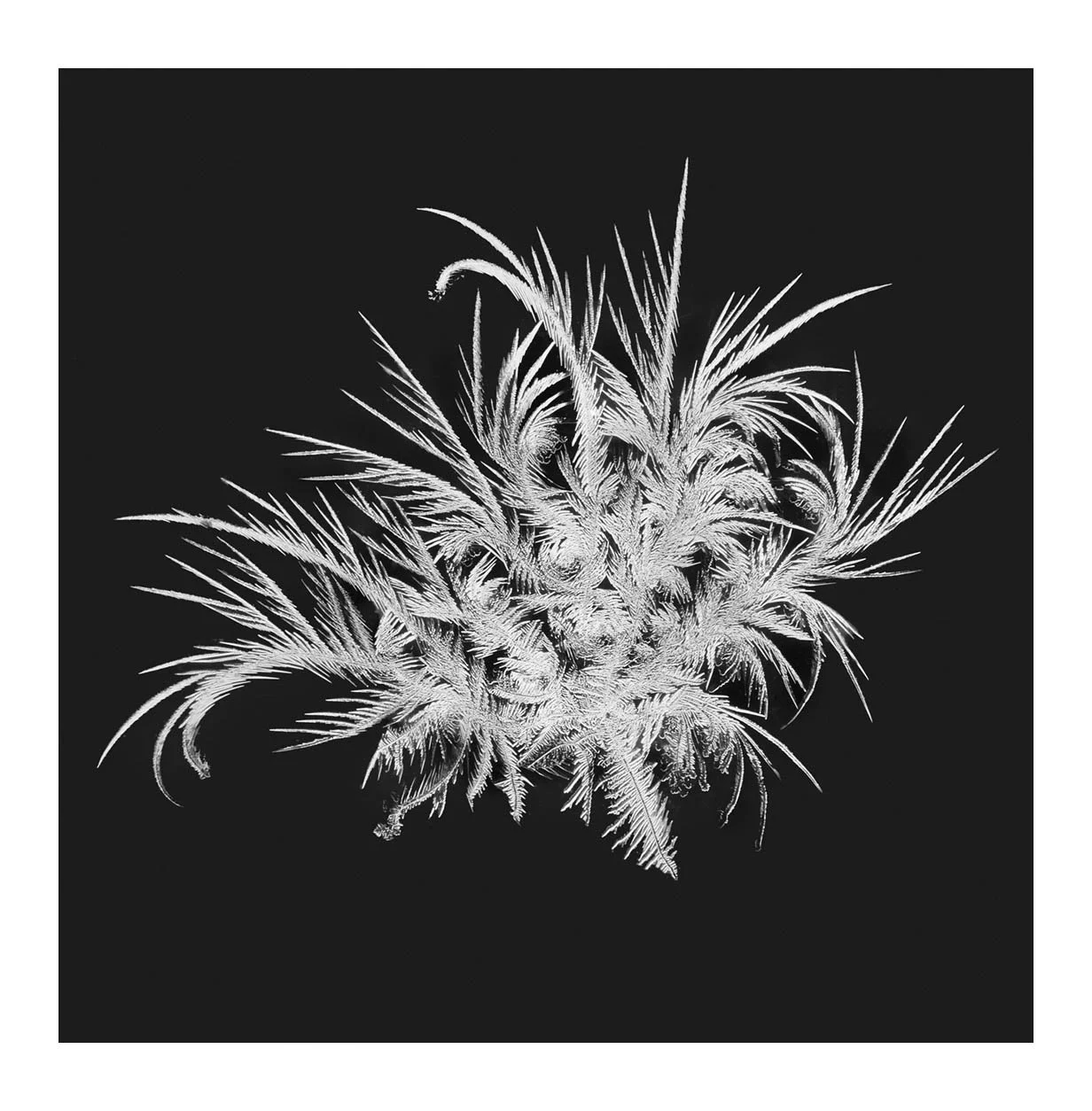 Snowflakes #14