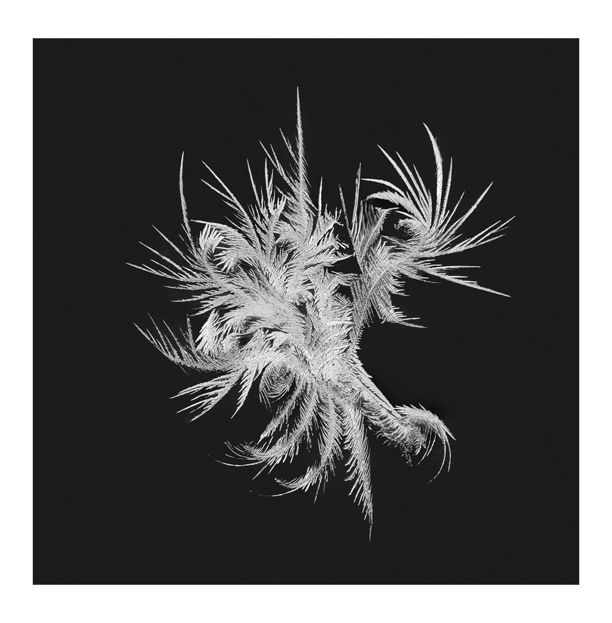 Snowflakes #16