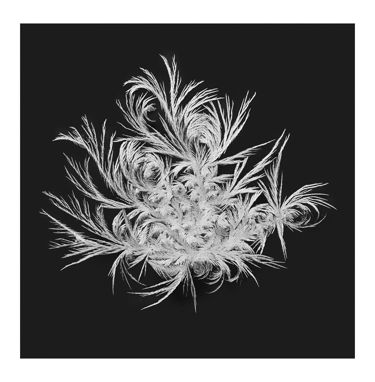 Snowflakes #17