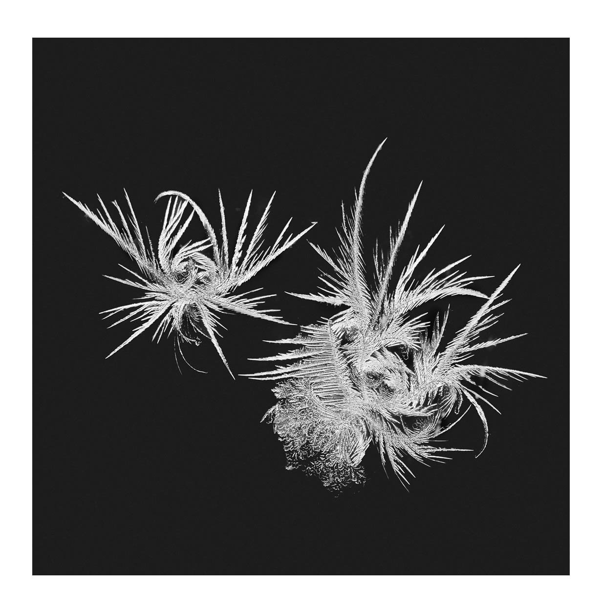 Snowflakes #18