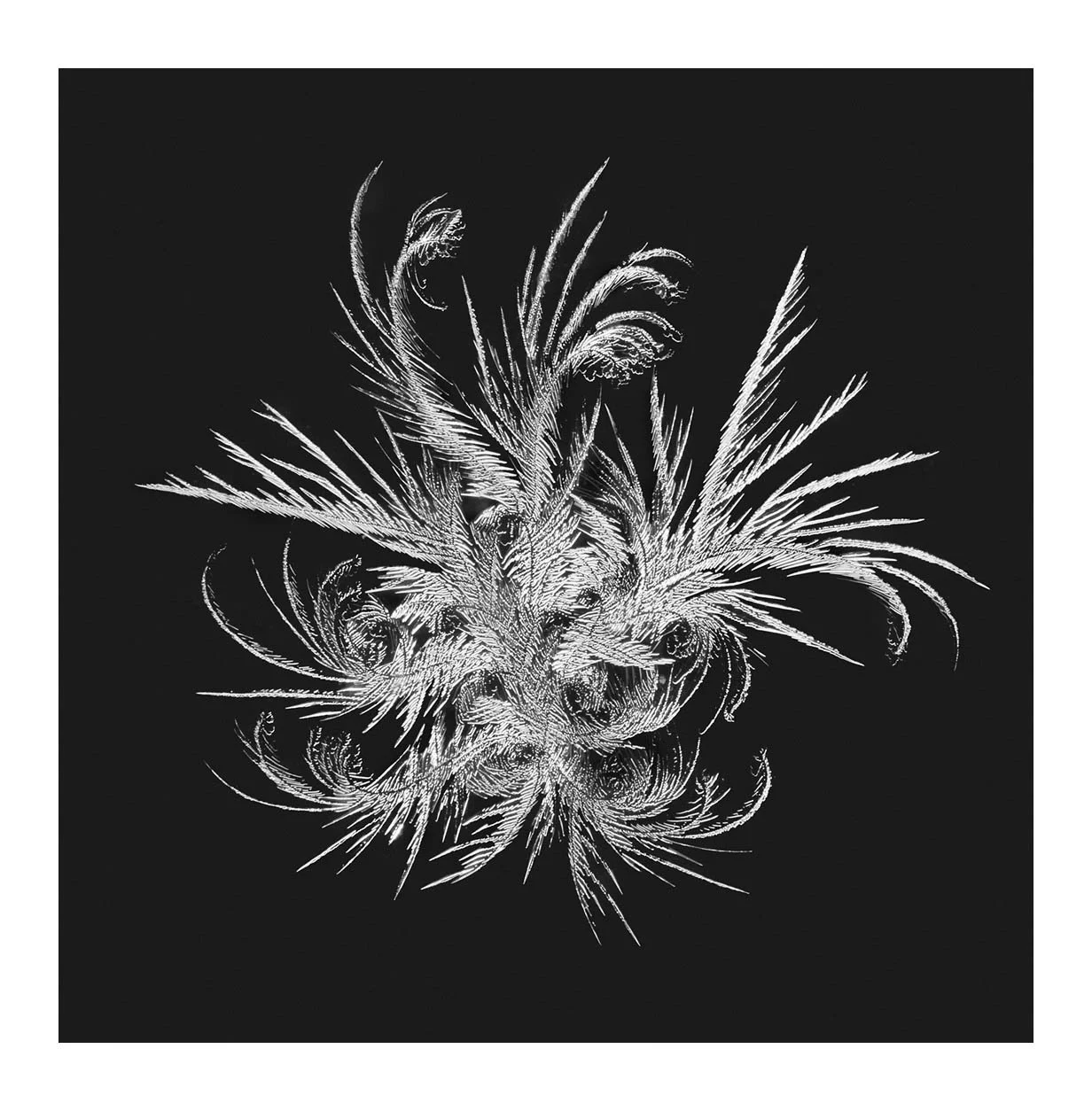 Snowflakes #19