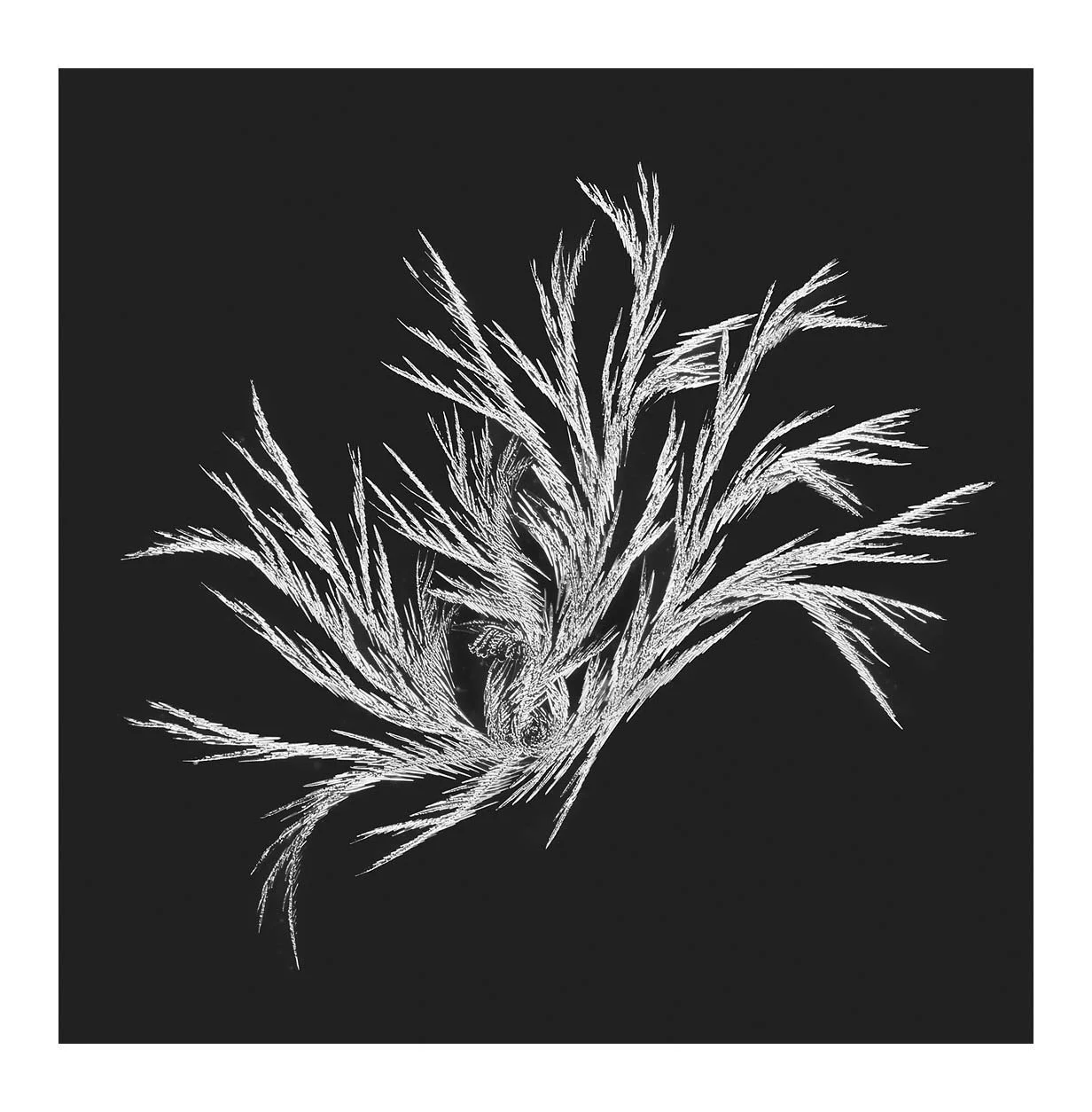 Snowflakes #22