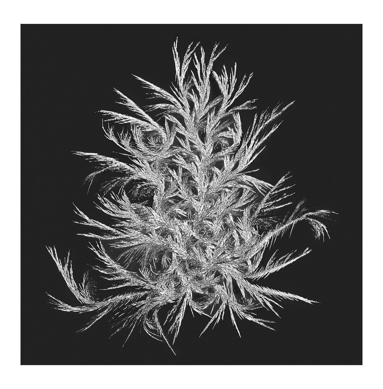 Snowflakes #23