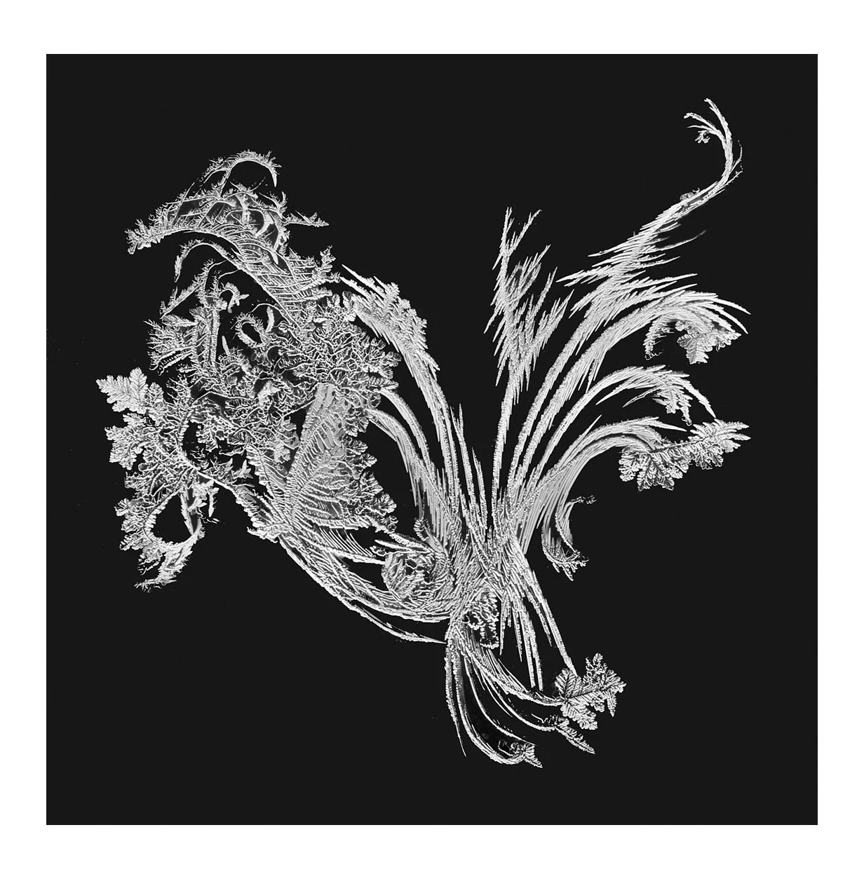 Snowflakes #26