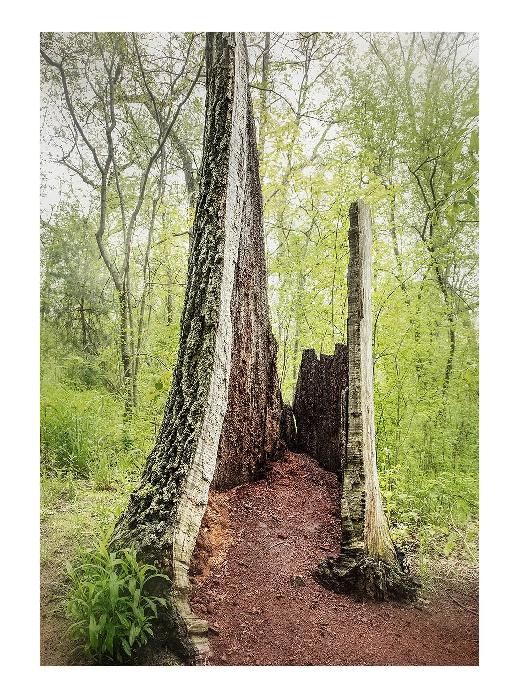 High Park