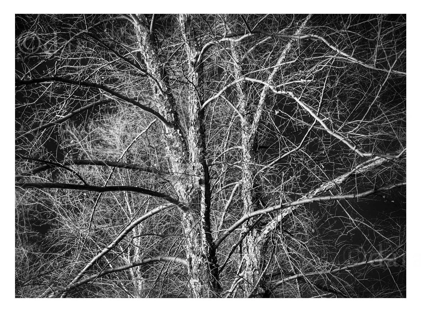 Listening Without Hearing