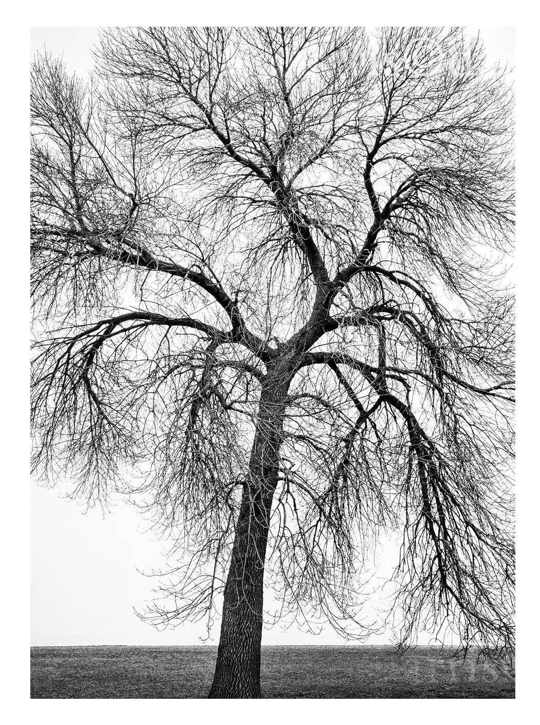 Sadness Without Tears